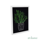 Herbs Framed Wall Art - Sunstreet