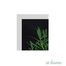 Herbs Framed Wall Art - Sunstreet