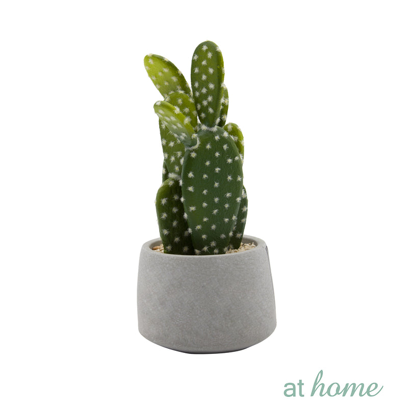 Cactus Artificial Plant with Pot - Sunstreet