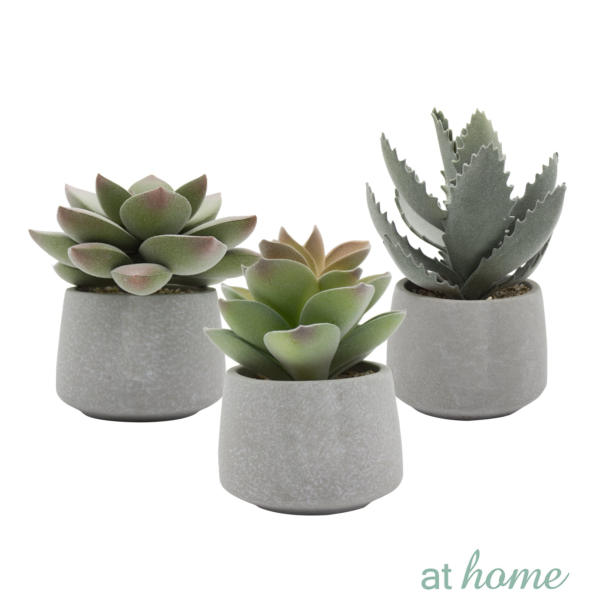 [SALE] Echeveria Artificial Plant with Pot