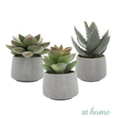 Echeveria Artificial Plant with Pot - Sunstreet