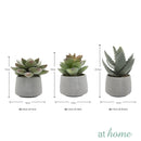 Echeveria Artificial Plant with Pot - Sunstreet