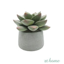 Echeveria Artificial Plant with Pot - Sunstreet