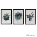 Gemma Botanical Framed Wall Art - Sunstreet