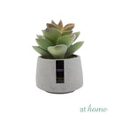 Echeveria Artificial Plant with Pot - Sunstreet
