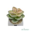 Echeveria Artificial Plant with Pot - Sunstreet