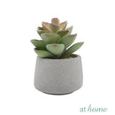 Echeveria Artificial Plant with Pot - Sunstreet