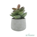 Echeveria Artificial Plant with Pot - Sunstreet
