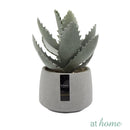 Echeveria Artificial Plant with Pot - Sunstreet