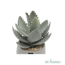 Echeveria Artificial Plant with Pot - Sunstreet