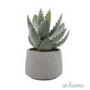 Echeveria Artificial Plant with Pot - Sunstreet