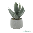 Echeveria Artificial Plant with Pot - Sunstreet