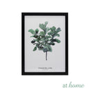 Gracelyn Botanical Framed Wall Art - Sunstreet