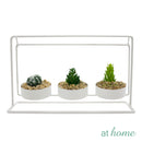 Yanna 3 Artificial Plant w/ Metal Pot