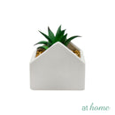 Dallia Artificial Plant w/ Ceramic Pot