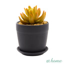 Dilly Artificial Succulent Plant w/ Ceramic Pot