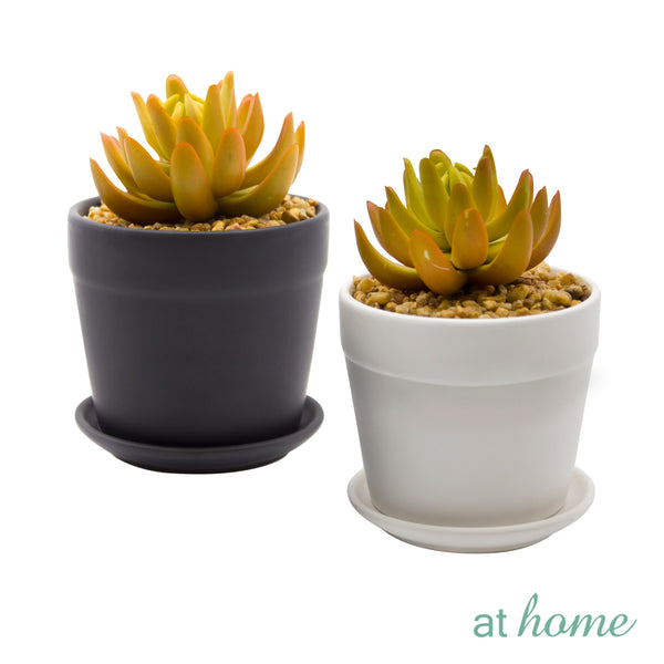 Dilly Artificial Succulent Plant w/ Ceramic Pot