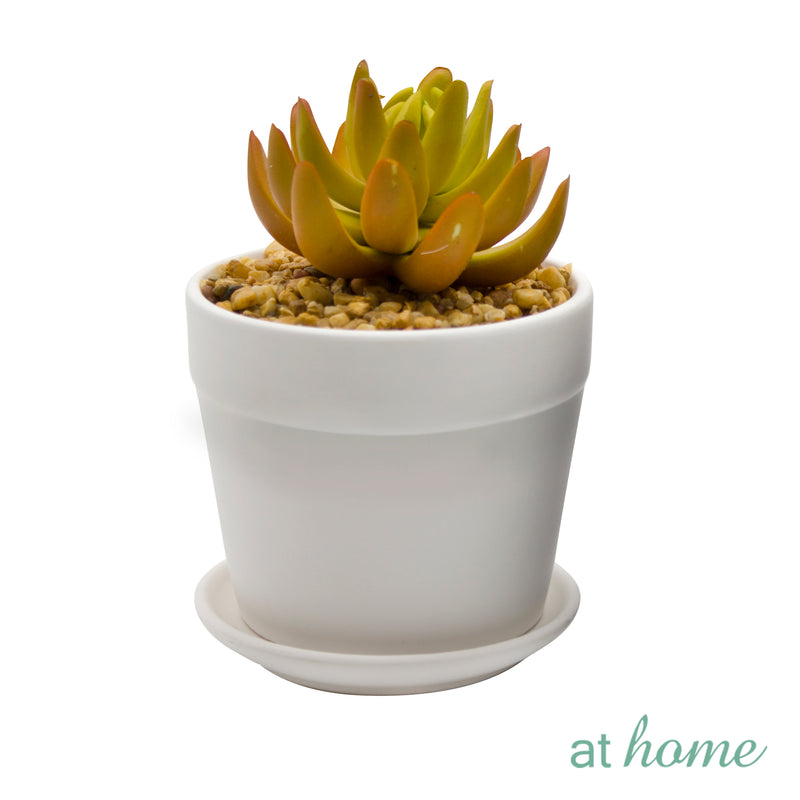 Dilly Artificial Succulent Plant w/ Ceramic Pot
