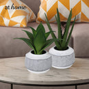 Cairo Artificial Potted Plant