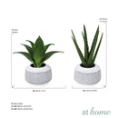 Cairo Artificial Potted Plant