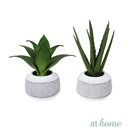 Cairo Artificial Potted Plant