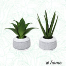 Cairo Artificial Potted Plant