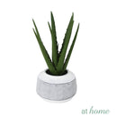 Cairo Artificial Potted Plant