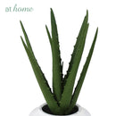 Cairo Artificial Potted Plant