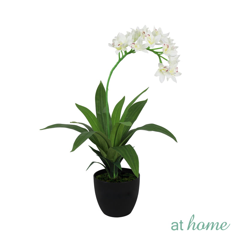 Curtis B Artificial Orchid Flower Potted Plant