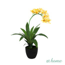 Curtis B Artificial Orchid Flower Potted Plant