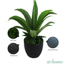 Curtis B Artificial Orchid Flower Potted Plant