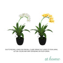 Curtis B Artificial Orchid Flower Potted Plant