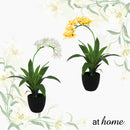 Curtis B Artificial Orchid Flower Potted Plant