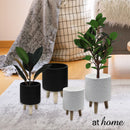 Yasmine Cement Decorative Planter w/ Wooden Stand