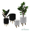 Yasmine Cement Decorative Planter w/ Wooden Stand