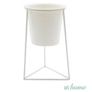 Succulent Metal Planter w/ Triangular Base and Pot