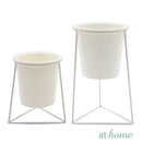 Succulent Metal Planter w/ Triangular Base and Pot