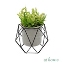[SALE] Geo Cream Metal Plant Stand Flower Pot Holder