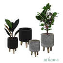 Ysabel Cement Decorative Planter w/ Wooden Stand
