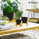 Yeisha Ceramic Decorative Planter w/ Wooden Stand