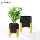 Yeisha Ceramic Decorative Planter w/ Wooden Stand