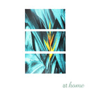 Ready to Hang 3 in 1 Set Tropical Leaves Wall Art