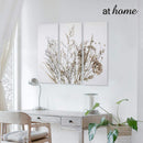 [SALE] Set of 3 Buckwheats Canvas Wall Art