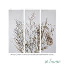 [SALE] Set of 3 Buckwheats Canvas Wall Art