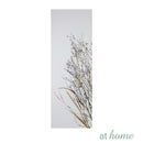 [SALE] Set of 3 Buckwheats Canvas Wall Art