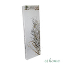 [SALE] Set of 3 Buckwheats Canvas Wall Art