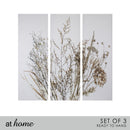 [SALE] Set of 3 Buckwheats Canvas Wall Art