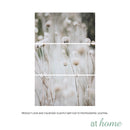 Set of 3 Just Buckwheats Canvas Wall Art