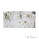 Set of 3 Just Buckwheats Canvas Wall Art