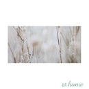 Set of 3 Just Buckwheats Canvas Wall Art